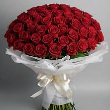 Букет 101 Красная роза Блэк Мэджик в Зеленоборске