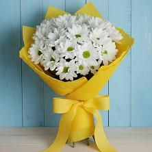 Букет цветов из:  Хризантемы в Зеленоборске