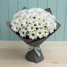 Букет цветов из:  Хризантемы в Зеленоборске
