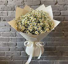 Букет цветов из:  Ромашки #REPLACE_PRED# Зеленоборске