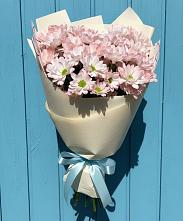 Букет цветов из:  Хризантемы в Зеленоборске