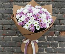 Букет цветов из:  Хризантемы в Зеленоборске