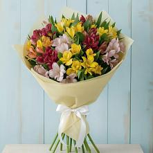 Букет цветов из:  Альстромерии в Зеленоборске