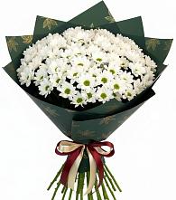 Букет цветов из:  Хризантемы в Зеленоборске