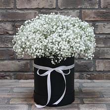 Цветочная композиция из Гипсофила в шляпной коробке в Зеленоборске