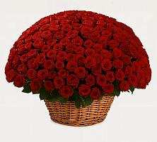 Премиум букет из: Розы #REPLACE_PRED# Зеленоборске