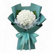 Букет цветов из:  Гортензия #REPLACE_PRED# Зеленоборске
